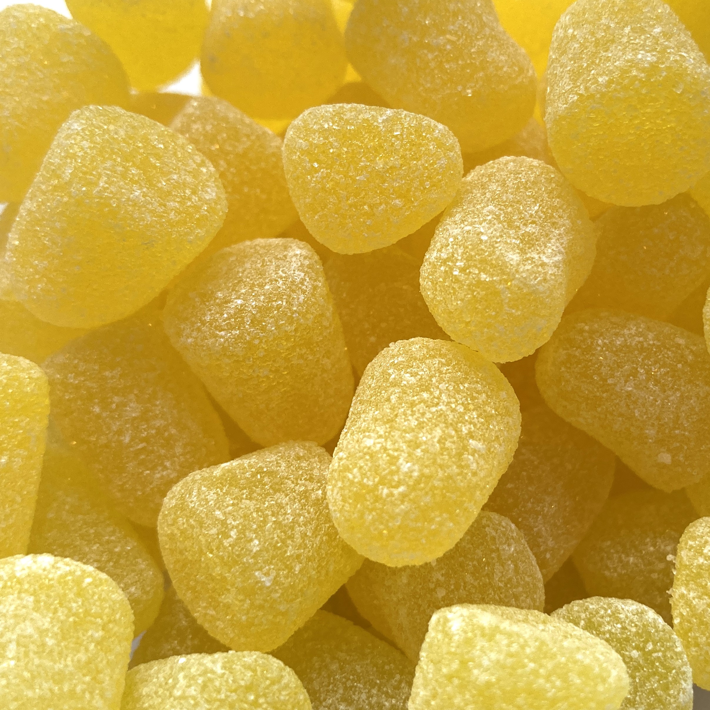 Yellow Sassafras Spice Drops - 7 oz.